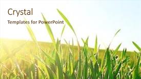  Presentation with green earth - Colorful slides enhanced with earth water - green wet grass under sunset backdrop and a cream colored foreground