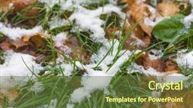  Presentation with spring water - Amazing slides having water - white snow and ice backdrop and a tawny brown colored foreground