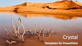  Presentation with maroc - Amazing slides having dry plant in desert lake erg chebbi maroc backdrop and a tawny brown colored foreground
