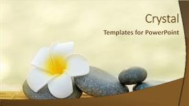  Presentation with flower condolenses - Colorful presentation enhanced with water balance - composition of pebbles and fragipani backdrop and a cream colored foreground
