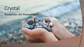  Presentation with stones - Theme featuring closeup cracked roasted chestnut over white background background and a wine colored foreground