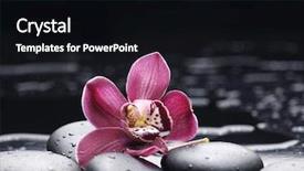  Presentation with balance life - PPT theme consisting of water balance - still life with macro background and a black colored foreground