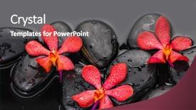  Presentation with water life - Presentation design consisting of water balance - still life with three red background and a gray colored foreground