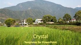  Presentation with water agriculture - Cool new slide set with water bamboo zizania latifolia farm backdrop and a tawny brown colored foreground