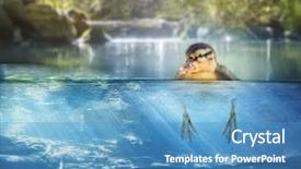  Presentation with pond - Amazing PPT theme having water birds - baby duck floating backdrop and a teal colored foreground