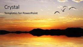  Presentation with birds flying - Amazing presentation design having water birds - flying over the lake backdrop and a soft green colored foreground