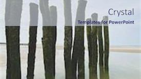  Presentation with green seaweed - Amazing PPT theme having water-breakers-covered-by-green backdrop and a sky blue colored foreground