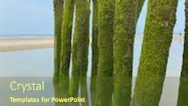  Presentation with green seaweed - Beautiful presentation theme featuring water-breakers-covered-by-green backdrop and a tawny brown colored foreground