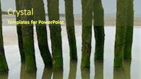  Presentation with green seaweed - PPT theme with water-breakers-covered-by-green background and a tawny brown colored foreground