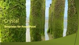  Presentation with green seaweed - Colorful slides enhanced with water-breakers-covered-by-green backdrop and a tawny brown colored foreground