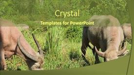  Presentation with grazing - PPT theme having water-buffalo-grazing-grass background and a tawny brown colored foreground