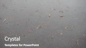  Presentation with rain water - Audience pleasing PPT layouts consisting of water circles in a puddle backdrop and a gray colored foreground