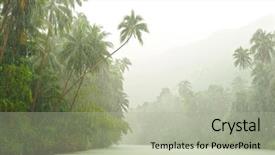 Presentation with tropical rainforest - PPT layouts featuring water climate - tropical rain above river running background and a mint green colored foreground