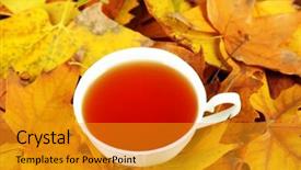  Presentation with water cup - Slide deck having water drinks maple - cup of hot beverage background and a  colored foreground