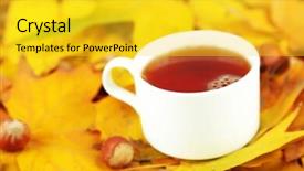  Presentation with water cup - Audience pleasing PPT theme consisting of water drinks maple - cup of hot beverage backdrop and a  colored foreground