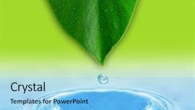  Presentation with water leaf - Amazing PPT theme having water drop and green leaf backdrop and a light blue colored foreground
