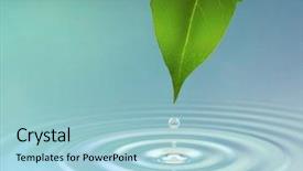  Presentation with water ripple - Presentation theme with water drop from a leaf background and a light blue colored foreground