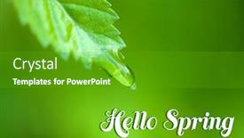  Presentation with spring water - Beautiful slides featuring water drop on fresh green leaf on green background hello spring concept backdrop and a shamrock green colored foreground