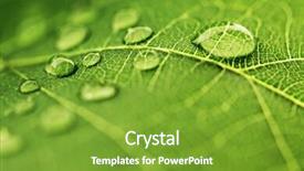  Presentation with water leaf - Cool new slide set with water drop on green leaf backdrop and a  colored foreground