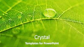  Presentation with water leaf - Beautiful presentation design featuring water drop on green leaf backdrop and a  colored foreground