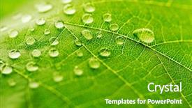  Presentation with water leaf - Slide set consisting of water drop on green leaf background and a tawny brown colored foreground