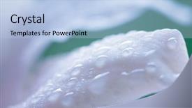  Presentation with water drop - Presentation design enhanced with water drop on or hid background and a  colored foreground