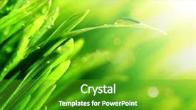  Presentation with water drop - PPT theme enhanced with water drop shine background and a shamrock green colored foreground