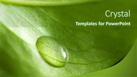  Presentation with water drop - Presentation enhanced with water drop background and a tawny brown colored foreground