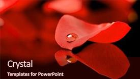  Presentation with water droplet - Audience pleasing presentation design consisting of water droplet lying backdrop and a wine colored foreground