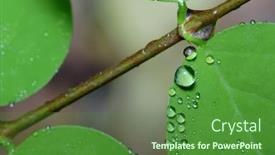  Presentation with water droplets - Theme enhanced with three stacks of casino chips in a row isolated over a white background background and a white colored foreground