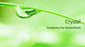  Presentation with water droplets - Slides enhanced with water-droplets-on-green-grass background and a mint green colored foreground