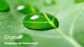 Presentation with water science - Colorful presentation enhanced with water drops on a leaf backdrop and a seafoam green colored foreground