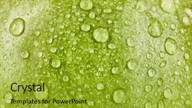  Presentation with water droplet drops on plant - Cool new PPT theme with water drops on apple surface backdrop and a gold colored foreground
