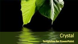  Presentation with water drops - Beautiful theme featuring water drops on black background backdrop and a tawny brown colored foreground