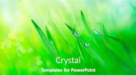  Presentation with spring nature grass - Beautiful slides featuring water-drops-on-fresh-grass backdrop and a shamrock green colored foreground