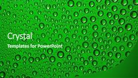  Presentation with green glass - Audience pleasing PPT layouts consisting of water drops on green glass backdrop and a forest green colored foreground