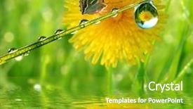  Presentation with water drops - Colorful presentation design enhanced with water drops on green grass backdrop and a shamrock green colored foreground