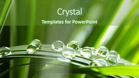  Presentation with water drop green planet - PPT layouts featuring water drops on the green background and a tawny brown colored foreground