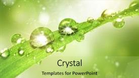  Presentation with water drop green planet - Colorful presentation enhanced with water drops on the green backdrop and a yellow colored foreground