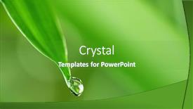  Presentation with green leaf water drops - Slides enhanced with water-drops-on-the-green background and a shamrock green colored foreground