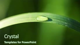  Presentation with water drops - Theme featuring water drops on the green background and a tawny brown colored foreground