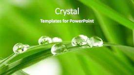  Presentation with water drops - Presentation with water drops on the green background and a shamrock green colored foreground