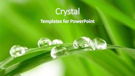  Presentation with water drops - Slide set having water drops on the green background and a shamrock green colored foreground