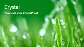  Presentation with dew - Slide set having water drops background and a  colored foreground