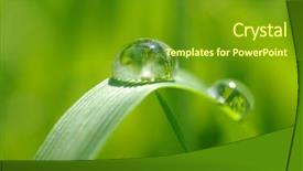  Presentation with water drops - PPT theme with water drops background and a tawny brown colored foreground