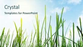  Presentation with water sun - Slide deck featuring water earth - green wet grass blue sky background and a sky blue colored foreground