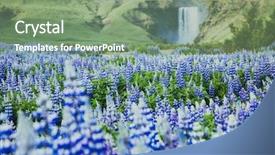  Presentation with earth day - Slide deck with excel cover - beautiful view of vivid lupine background and a light blue colored foreground