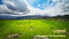  Presentation with rice field - Beautiful theme featuring rice field with rocks backdrop and a tawny brown colored foreground