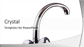  Presentation with background - Slide deck having gliders - active sugar-glider on branch background and a mint green colored foreground.