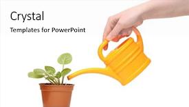 Presentation with plant - PPT theme enhanced with water flower - closeup hand watering a plant background and a white colored foreground
